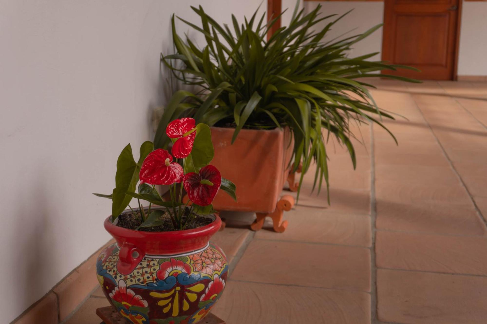 Maria Bonita Hotel Villa de Leyva Extérieur photo